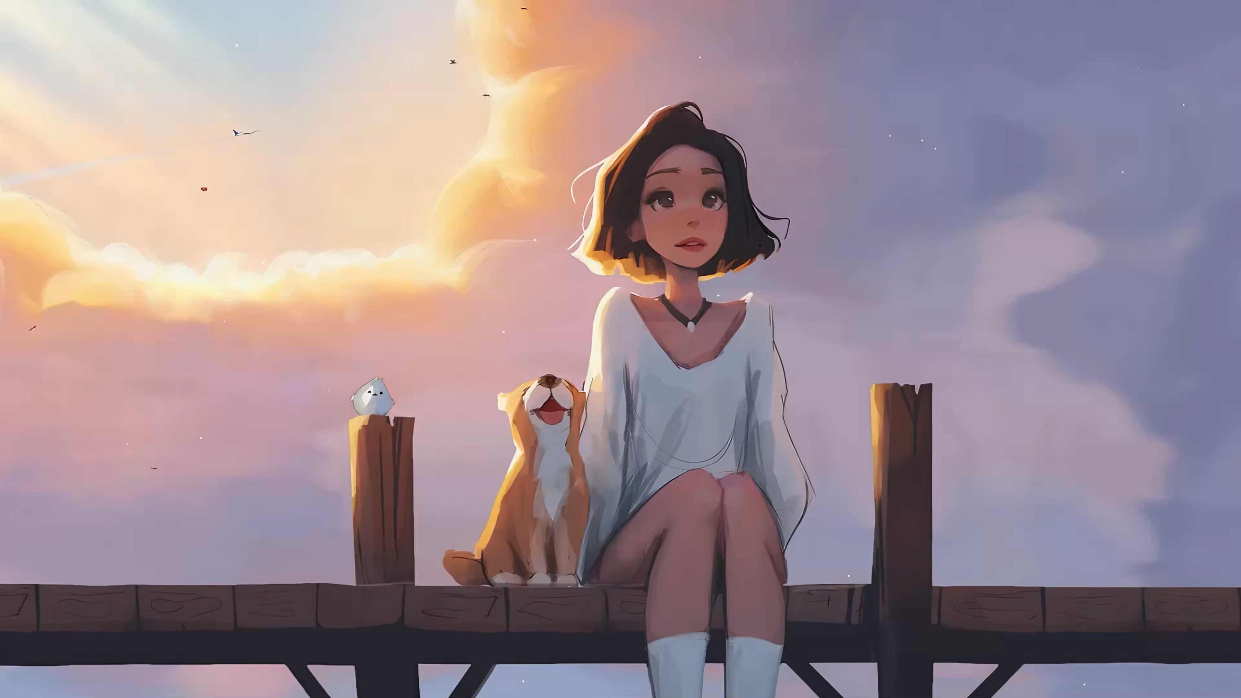 video
